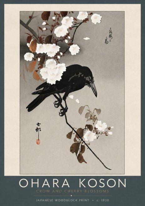 Ohara Koson Crow and Cherry Blossoms No5 - Juliste