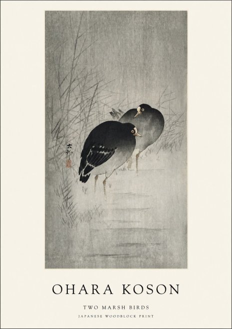 Ohara Koson Two Marsh Birds No1 - Juliste