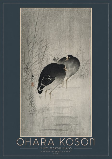 Ohara Koson Two Marsh Birds No2 - Juliste