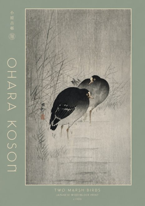 Ohara Koson Two Marsh Birds No4 - Juliste