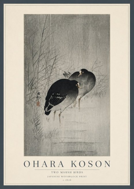 Ohara Koson Two Marsh Birds No5 - Juliste