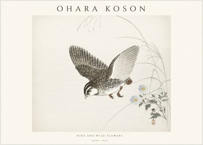 Ohara Koson Bird and Wild Flowers No1 - Juliste