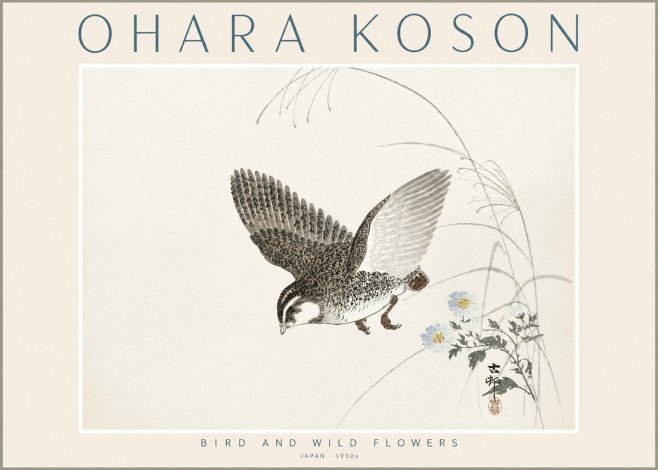 Ohara Koson Bird and Wild Flowers No2 - Juliste