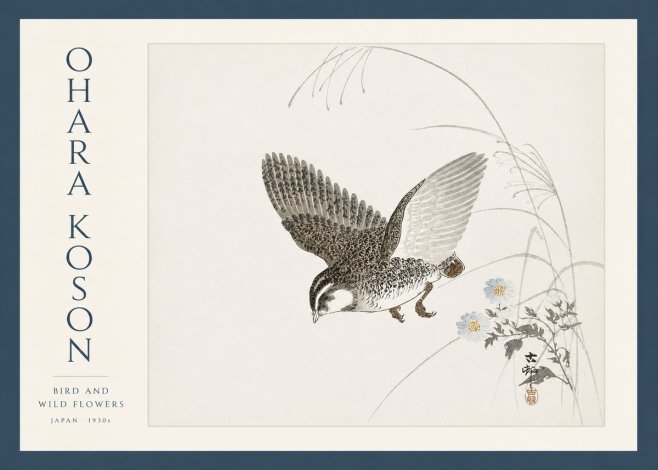 Ohara Koson Bird and Wild Flowers No3 - Juliste