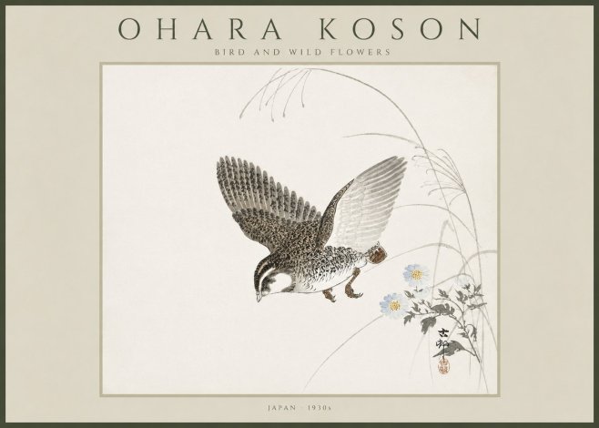Ohara Koson Bird and Wild Flowers No4 - Juliste