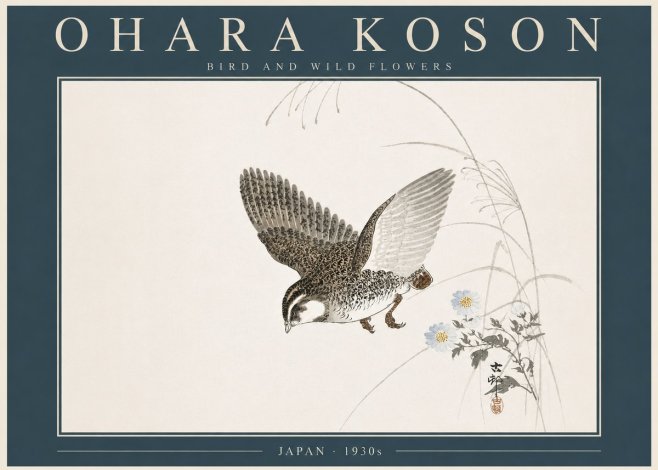 Ohara Koson Bird and Wild Flowers No5 - Juliste