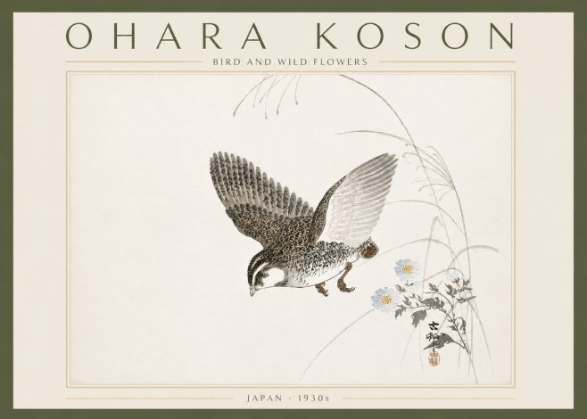 Ohara Koson Bird and Wild Flowers No6 - Juliste