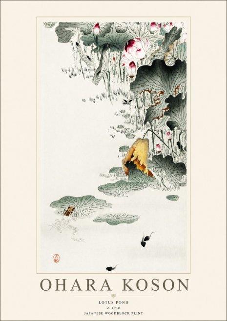 Ohara Koson Lotus Pond No1 - Juliste