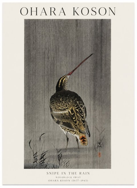Ohara Koson Snipe in the Rain No1 - Juliste