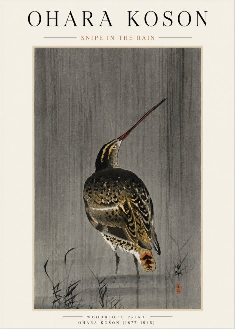 Ohara Koson Snipe in the Rain No4 - Juliste