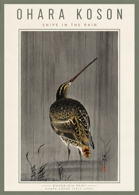 Ohara Koson Snipe in the Rain No6 - Juliste