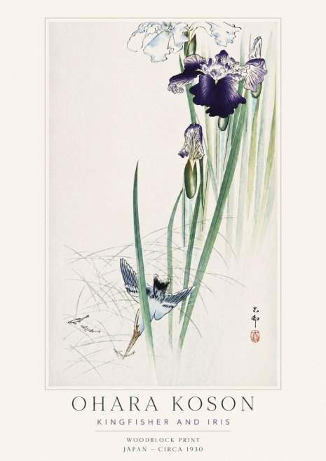 Ohara Koson Kingfisher and Iris No3 - Juliste