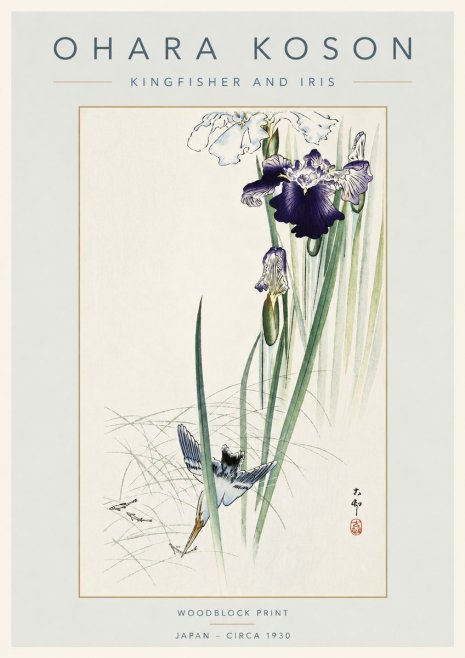 Ohara Koson Kingfisher and Iris No4 - Juliste