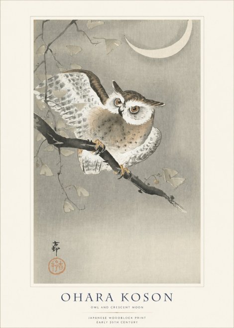 Ohara Koson Owl and Crescent Moon No1 - Juliste
