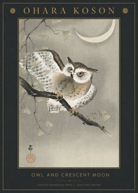 Ohara Koson Owl and Crescent Moon No3 - Juliste