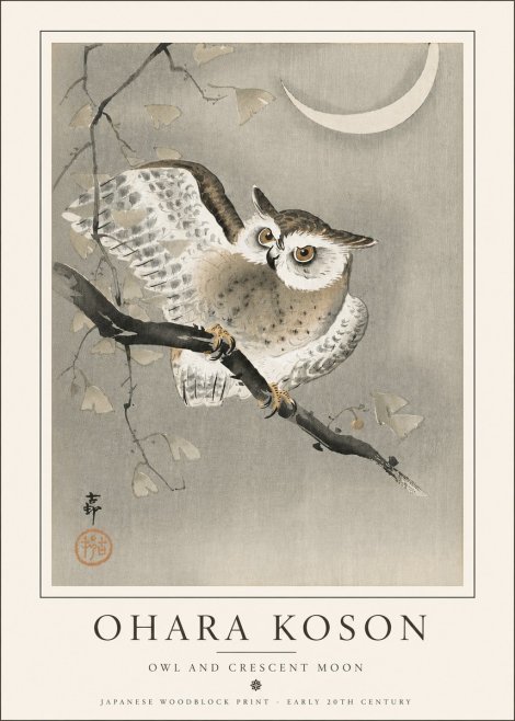 Ohara Koson Owl and Crescent Moon No5 - Juliste