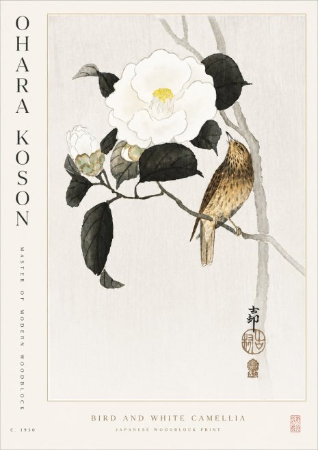 Ohara Koson Bird and White Camellia No5 - Juliste