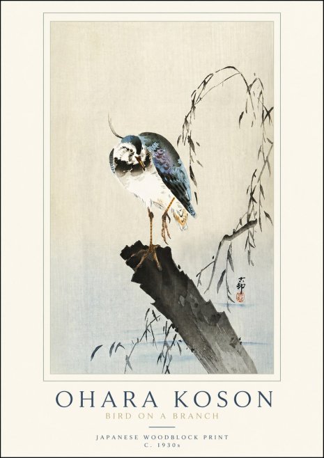 Ohara Koson Bird on a Branch III No3 - Juliste