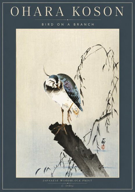 Ohara Koson Bird on a Branch III No4 - Juliste