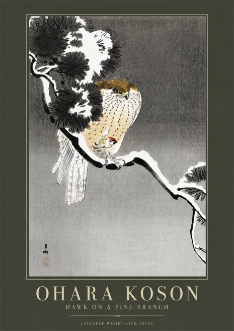 Ohara Koson Hawk on a Pine Branch No2 - Juliste