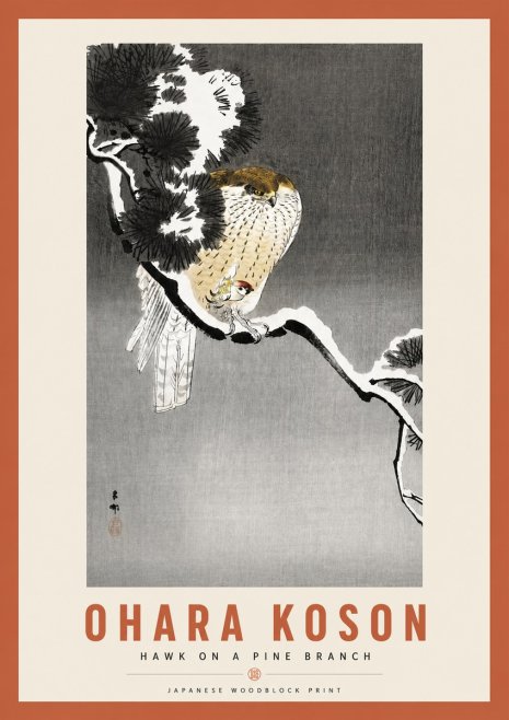 Ohara Koson Hawk on a Pine Branch No3 - Juliste