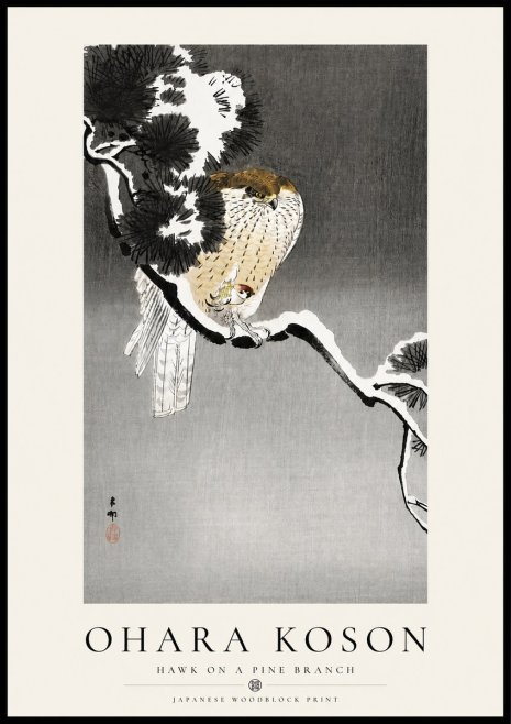 Ohara Koson Hawk on a Pine Branch No4 - Juliste