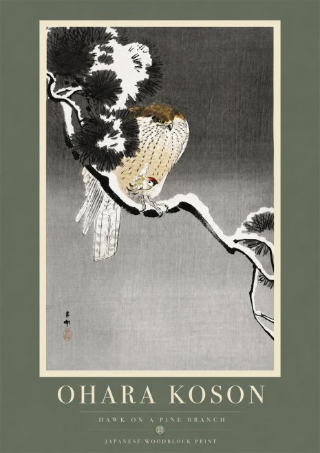 Ohara Koson Hawk on a Pine Branch No5 - Juliste