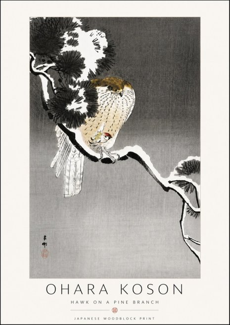 Ohara Koson Hawk on a Pine Branch No6 - Juliste
