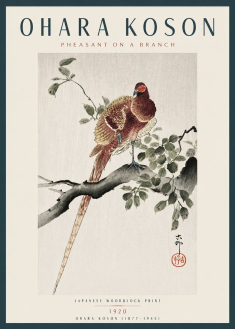 Ohara Koson Pheasant on a Branch No4 - Juliste