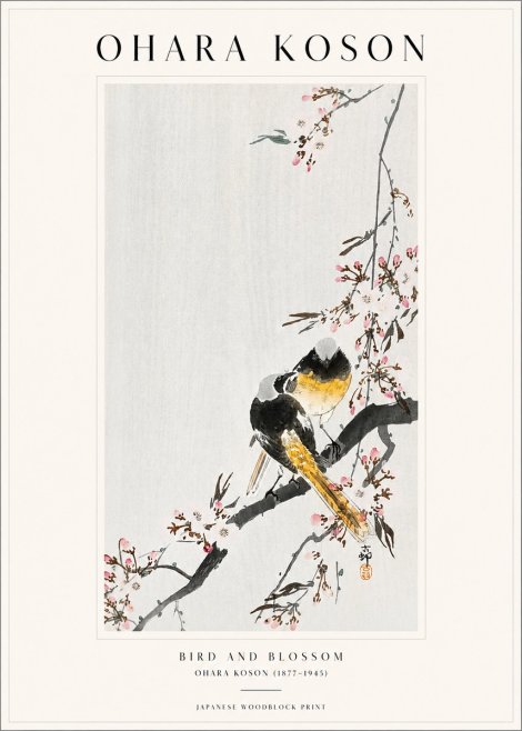 Ohara Koson Bird and Blossom No1 - Juliste