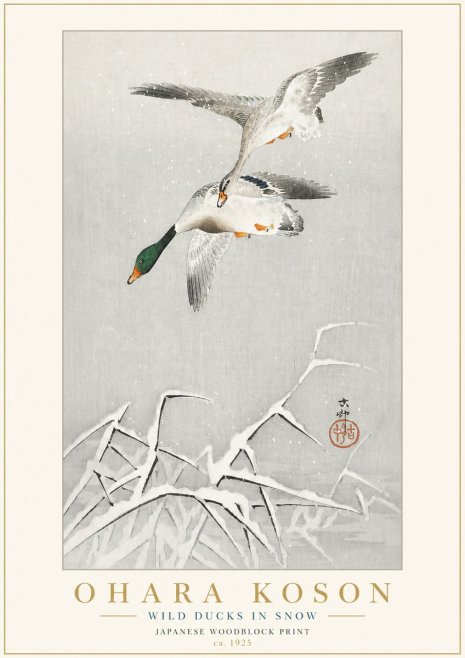 Ohara Koson Wild Ducks in Snow No3 - Juliste