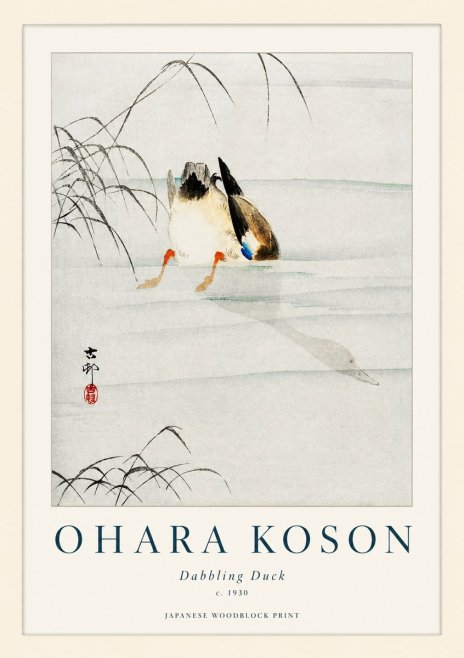 Ohara Koson Dabbling Duck No1 - Juliste