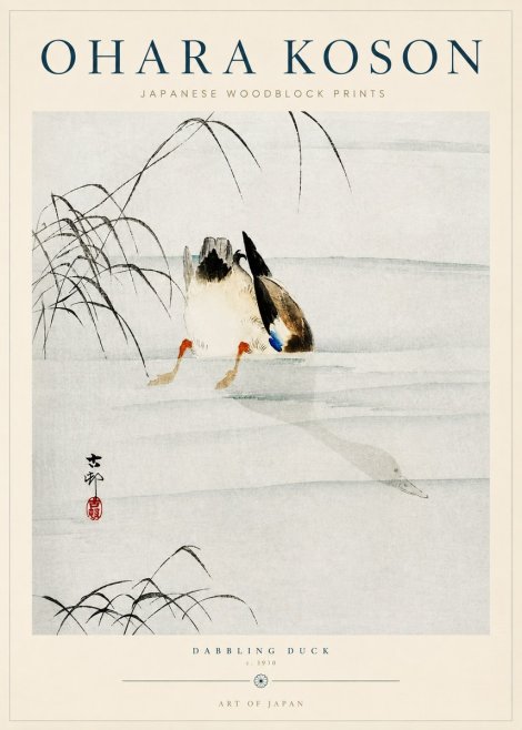 Ohara Koson Dabbling Duck No3 - Juliste