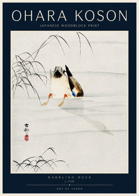 Ohara Koson Dabbling Duck No4 - Juliste
