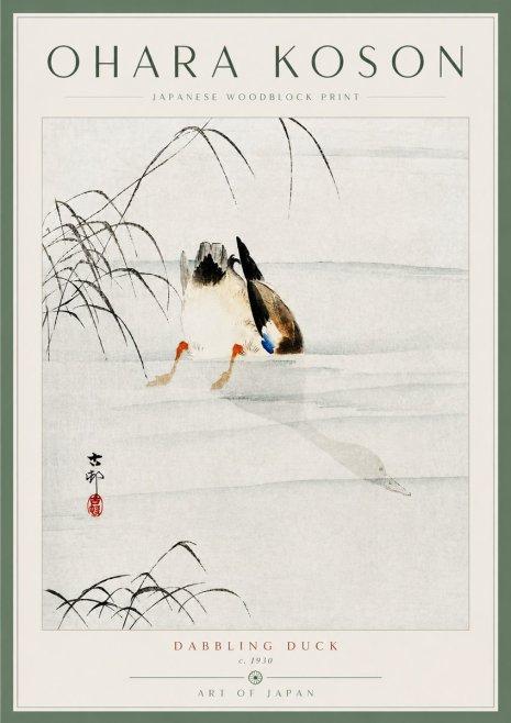 Ohara Koson Dabbling Duck No5 - Juliste