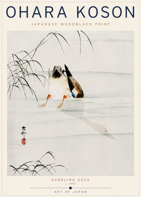 Ohara Koson Dabbling Duck No6 - Juliste