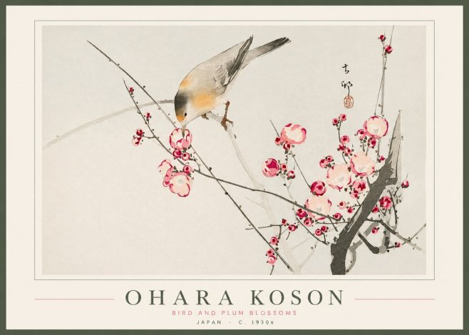 Ohara Koson Bird and Plum Blossoms No2 - Juliste