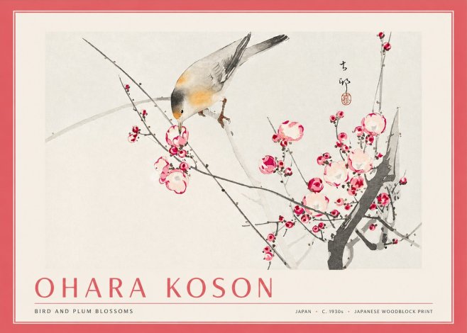 Ohara Koson Bird and Plum Blossoms No3 - Juliste