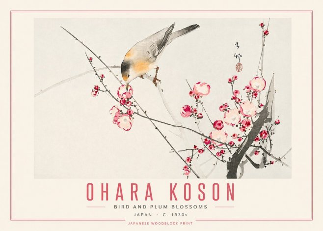 Ohara Koson Bird and Plum Blossoms No5 - Juliste