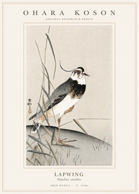 Ohara Koson Lapwing No1 - Juliste