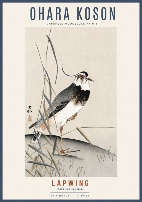 Ohara Koson Lapwing No2 - Juliste