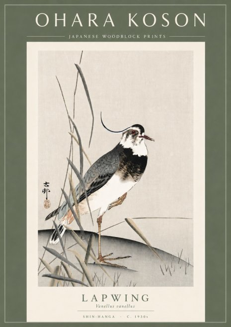 Ohara Koson Lapwing No3 - Juliste