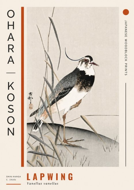 Ohara Koson Lapwing No4 - Juliste