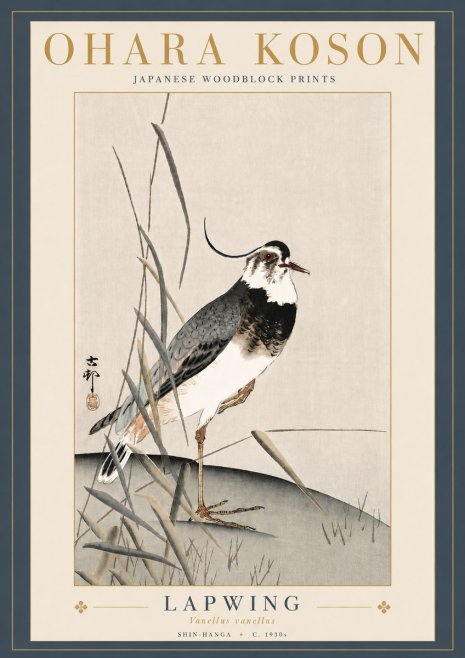Ohara Koson Lapwing No5 - Juliste