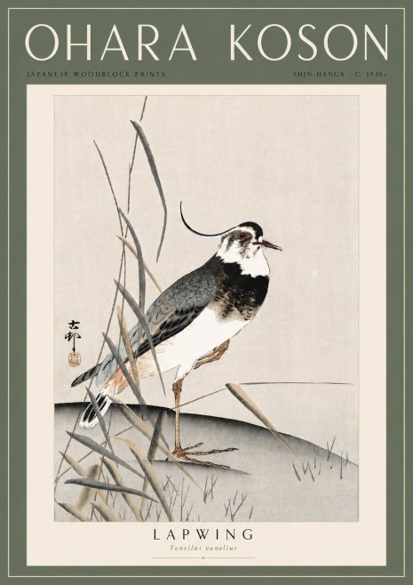 Ohara Koson Lapwing No6 - Juliste