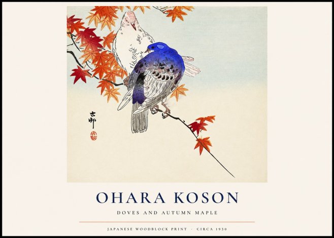 Ohara Koson Doves and Autumn Maple No1 - Juliste