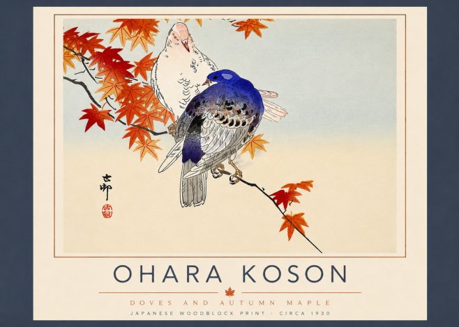 Ohara Koson Doves and Autumn Maple No5 - Juliste