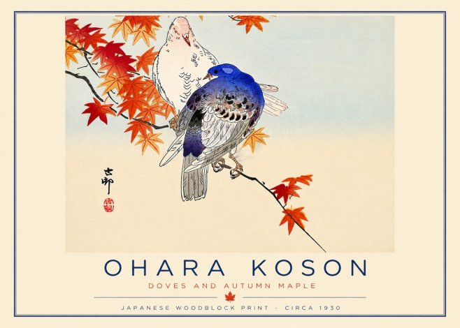 Ohara Koson Doves and Autumn Maple No6 - Juliste