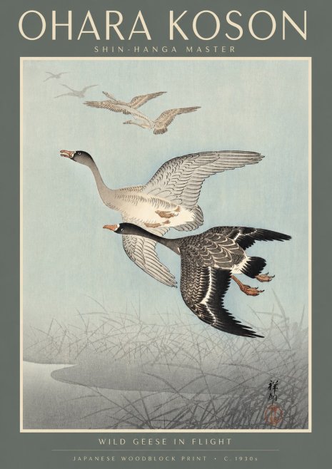 Ohara Koson Wild Geese in Flight II No4 - Juliste