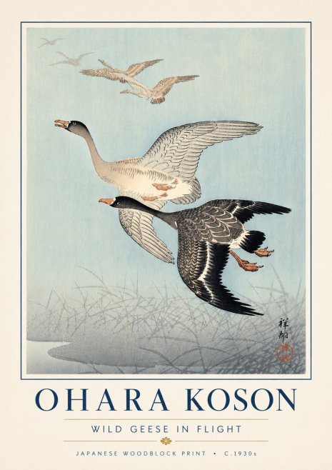Ohara Koson Wild Geese in Flight II No6 - Juliste